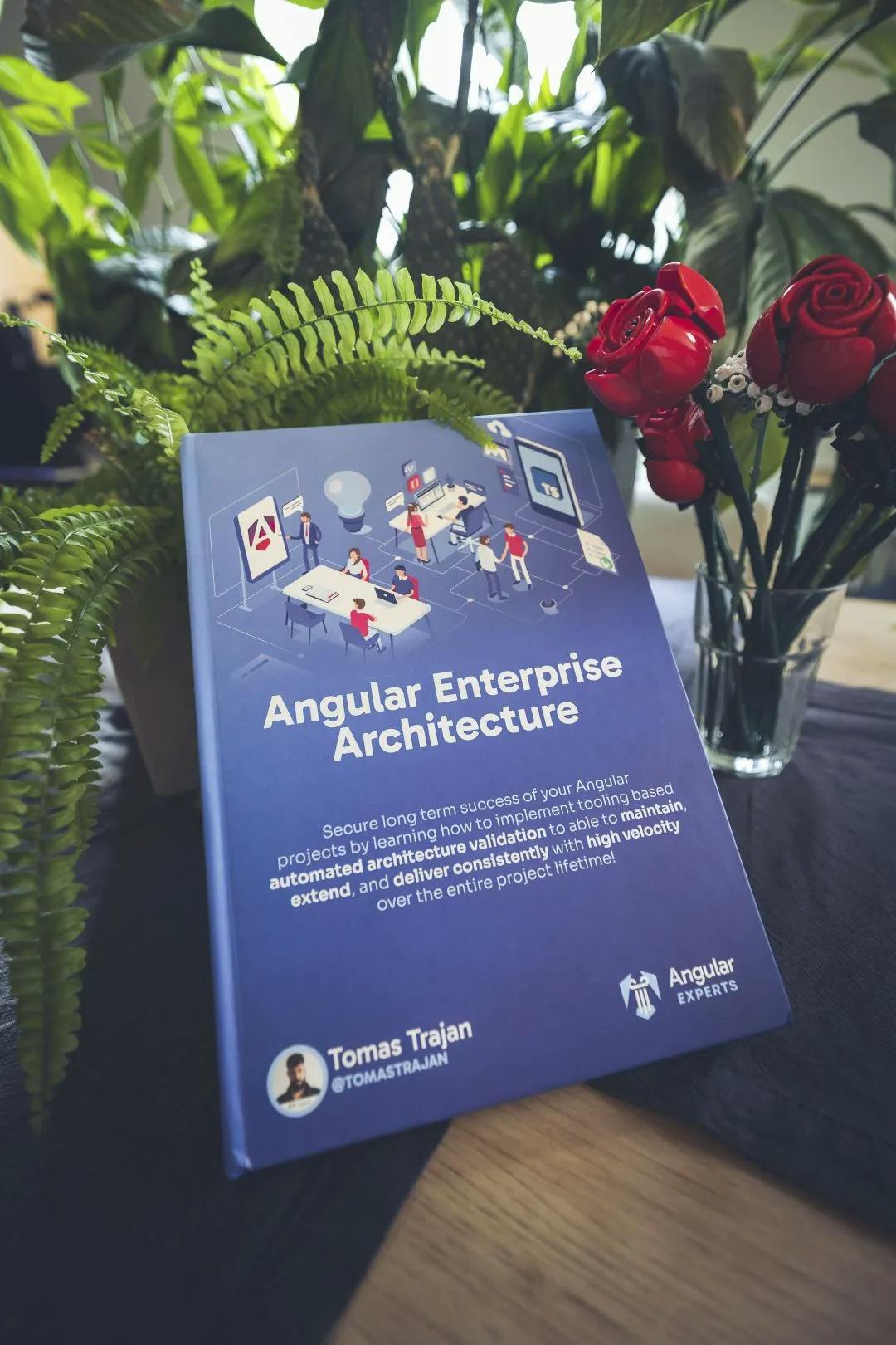 Angular Enterprise Architecture eBook v2 by Tomas Trajan Collector's Edition - Front view